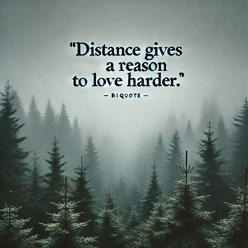 A foggy forest with the quote 'Distance gives us a reason to love harder.'